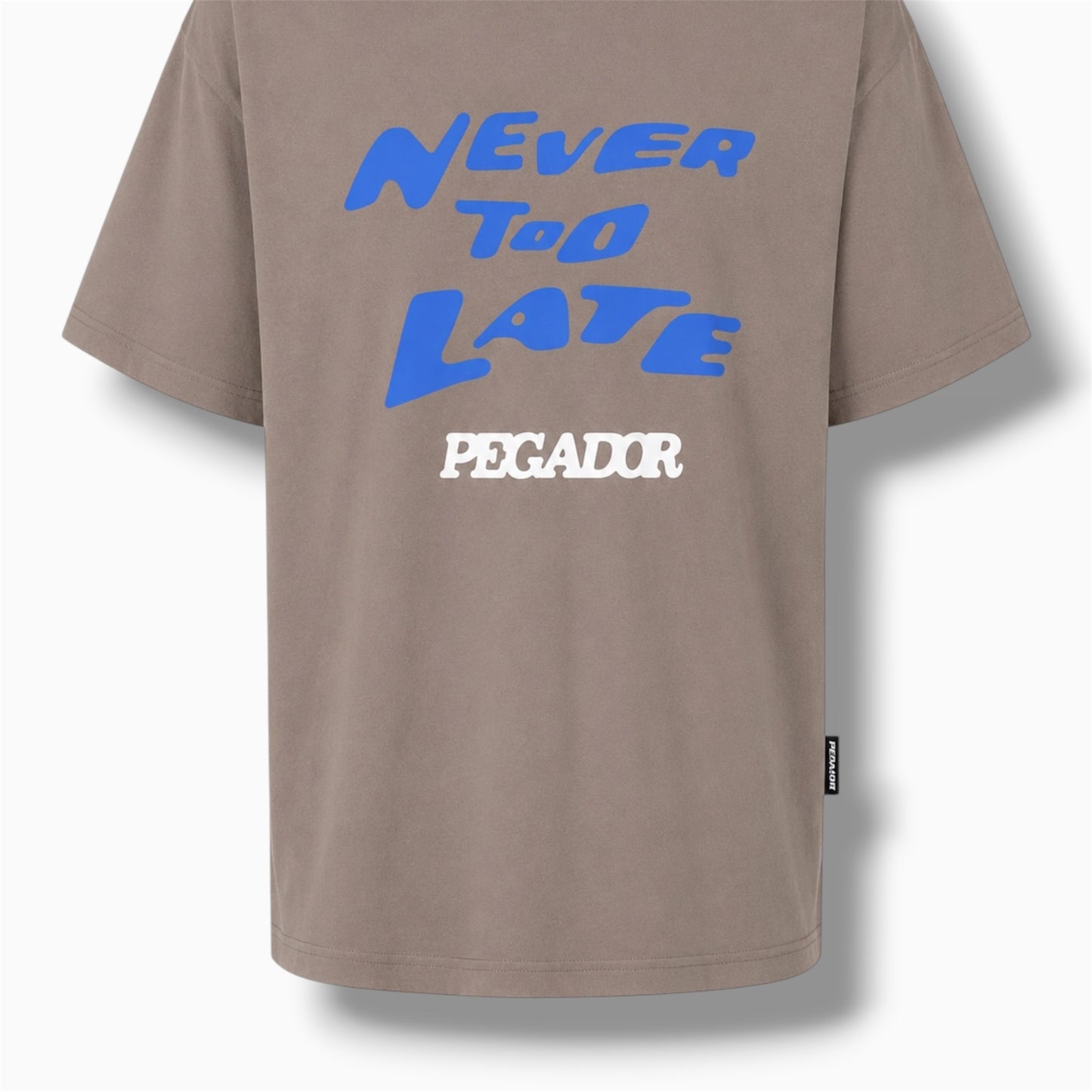 PEGADOR Never Too Late Oversized T-Shirt – Taupe | Size M