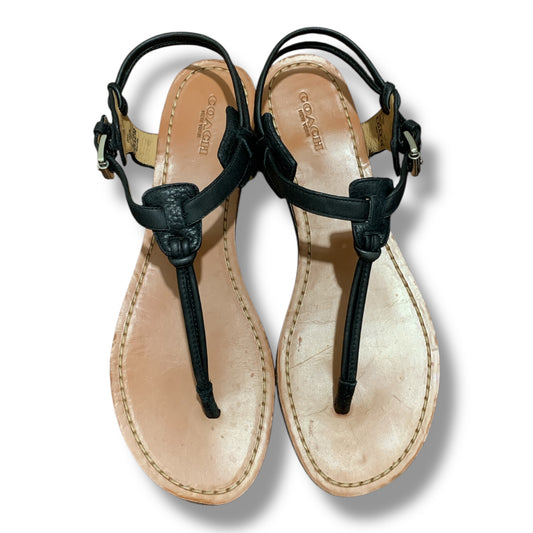 COACH CLARKSON FLAT THONG SANDALS | PRE-LOVED | CONDITION 9/10 | SIZE EU 39