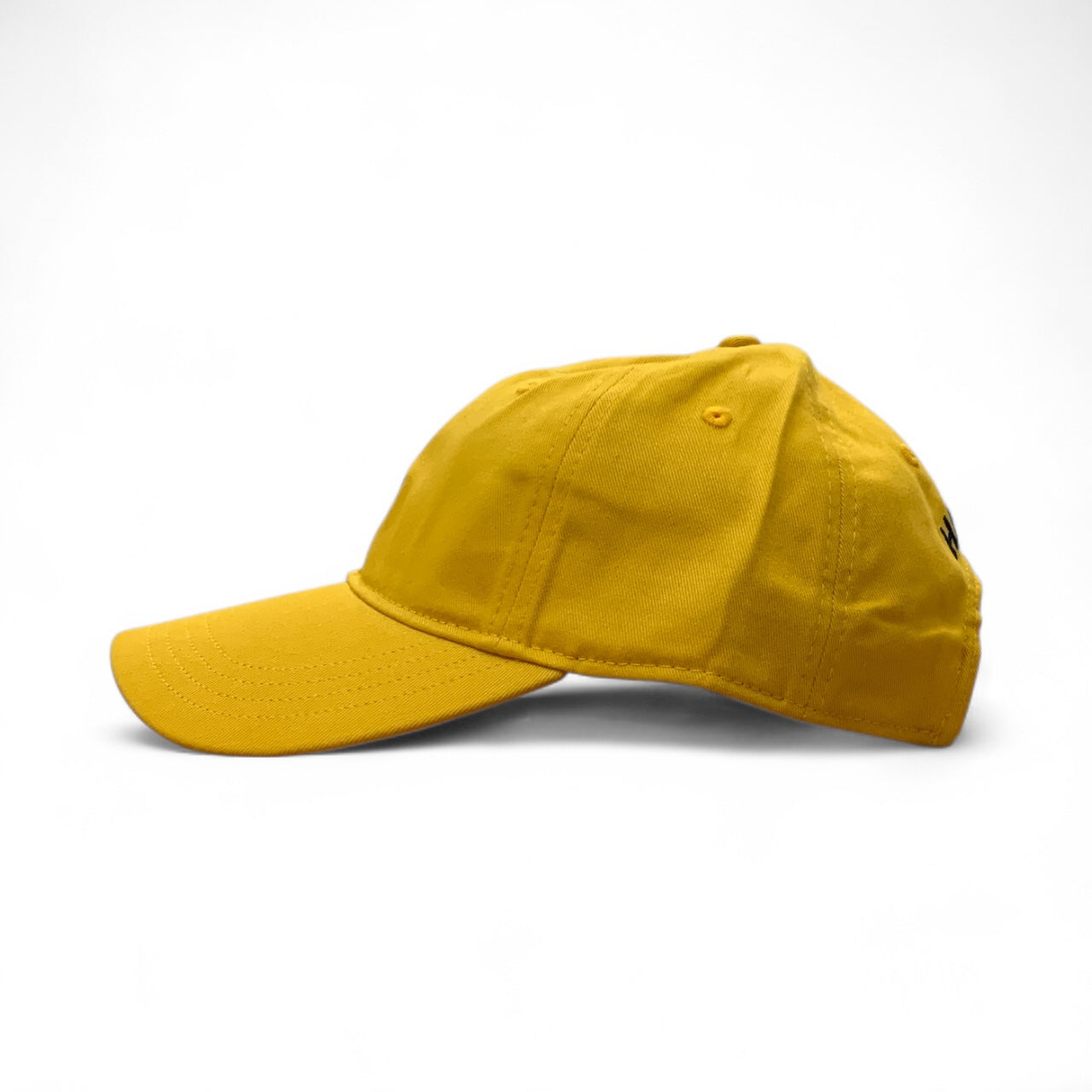 Tommy Hilfiger Embroidered Flag Logo Cap